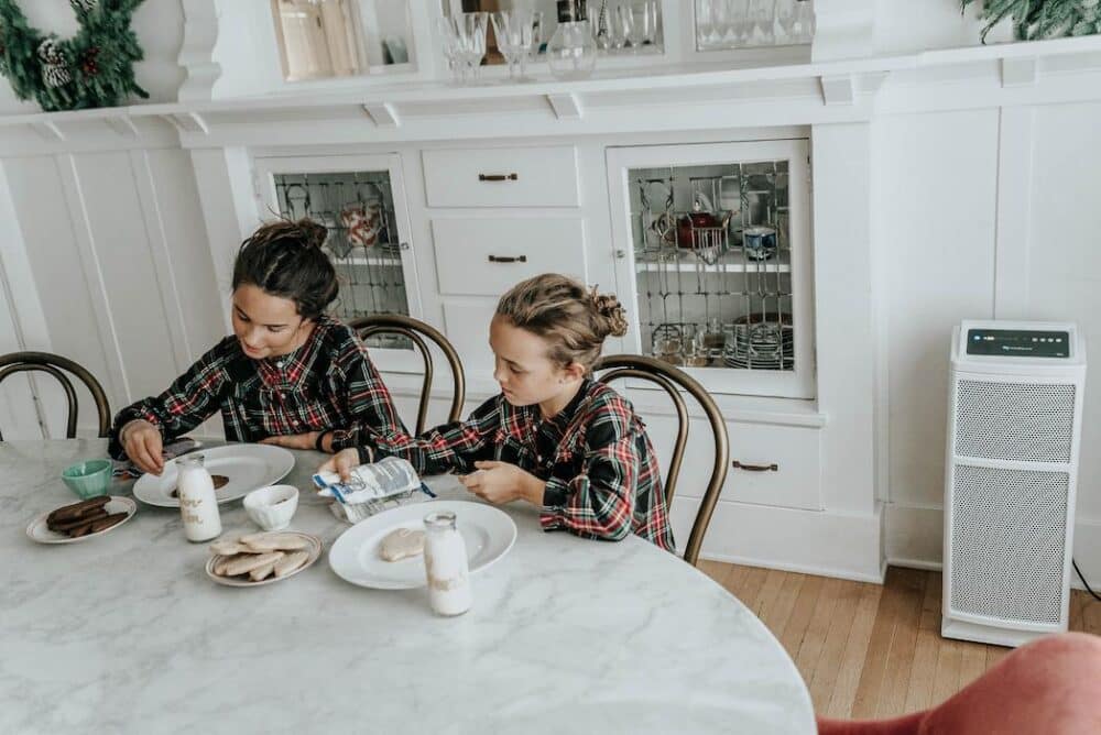 Two Young Girls Decorating Christmas Cookies with an UltraFine-468 in the Background