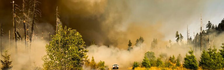 Wildfire smoke in the air increases the importance of having an air purifier.